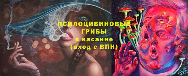 apvp Алзамай