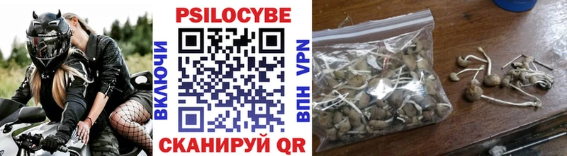 кракен Звенигород Псилоцибиновые грибы Cubensis купить наркотики сайты